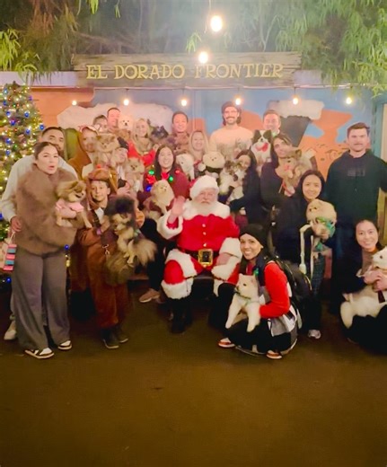Pom Party OC on Instagram: "Paw Fest Winter Wonderland 2025 ❄️ #pom #pomeranian #pomlover #ilovepom #dogmeetup #ilovedogs #santa"