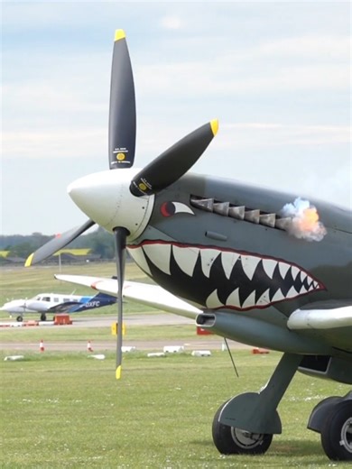 Spitfire T.Mk.IX: Rolls-Royce Merlin Engine in Action