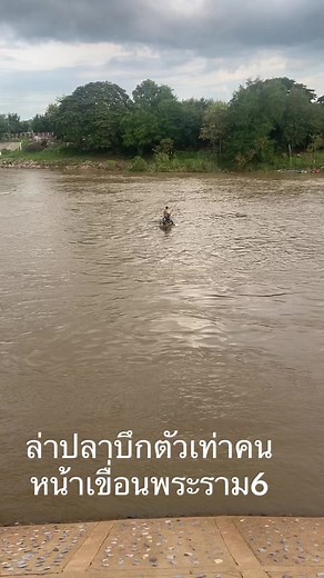 ล่าปลาบึกตัวเท่าคนหน้าเขื่อนพระราม6 #ปลาบึกยักษ์ #เขื่อนพระราม6