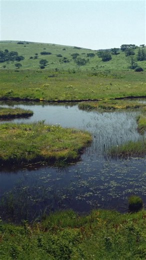 The world has lost 87% of its wetlands since 1700.Protecting wetlands matters now more than ever. Here's how we can safeguard and restore them: https://t.co/kkOYoXR2VI