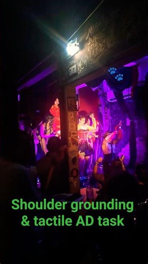 8927. Shoulder grounding & tactile distraction loud show crowd handler anxiety venue 2 April 2026 AK