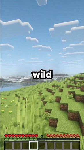 BEST Java/Bedrock Minecraft Server 🔎#minecraft #minecraftserver