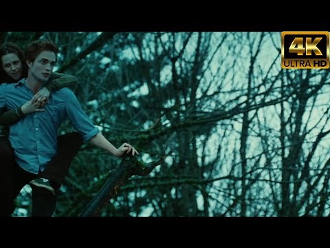 Twilight -Edward and Bella Climb The Tree Scene- TWİLİGHT(2008) 4K HD