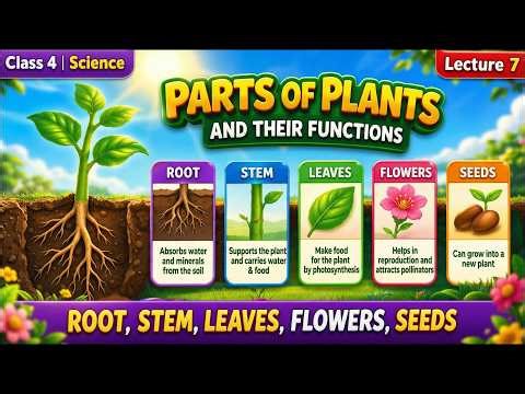 Class 4 Science Unit 1 | Parts of Plants & Functions | Lecture 7