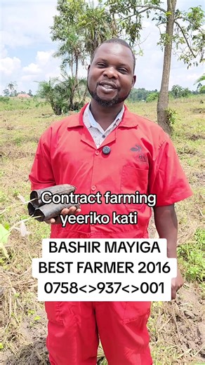 You need contract farming contract farming for passion fruits #sangafishfarm #trendingvideo #eidmubarak #masaka #omugaggabitanda