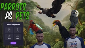 PARROTS PETS FIVEM [esx/qbcore/qbox] - Etsy