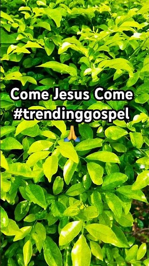 Come Jesus Come by Cece Winans (2024) #viralmusic #trendingsong