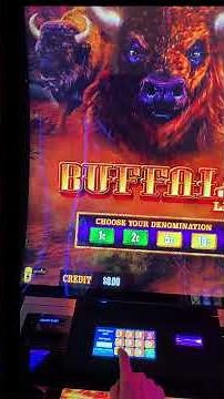 This is how you play $80 of FREE PLAY!! #dragon link #bufallo link #casino #slot #gambling #jackpot