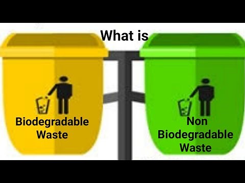 What is Biodegradable and Non Biodegradable Waste I Waste Management I Non-Biodegradable Materials