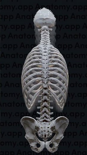 The compound pendulum effect