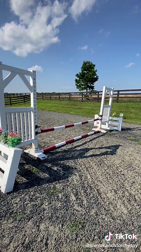 Mastering Horse Jumping Heights: Overcoming the 18 Inch to 2ft Gap