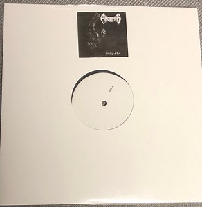 Amorphis - Privilege Of Evil