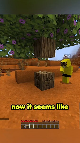 steven plays minecraft #minecraft #youtube #funny #tinymacdude