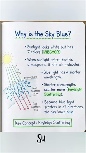 Why is the Sky Blue? 🌍💙 | Explained in 5 Seconds 🤯 #shorts