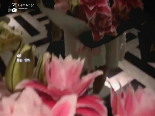 34K views · 723 reactions | " sự bình tĩnh của em hiện tại, nó phải đánh đổi bao lần hỗn độn của trước kia. " | Tiệm Nhạc | Facebook