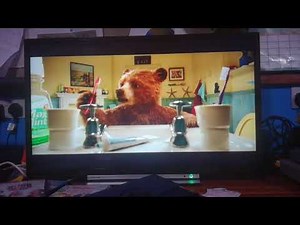 Paddington in the bathroom