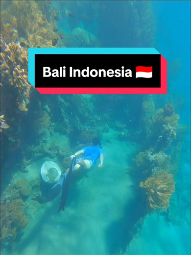 TikTok · Mạnh Hà Officical