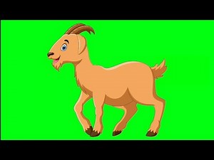 Animated green screen goat 🐐 | No copyright | Animation World