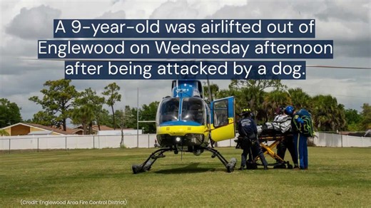 9-year-old airlifted to Tampa General Hospital after dog attack