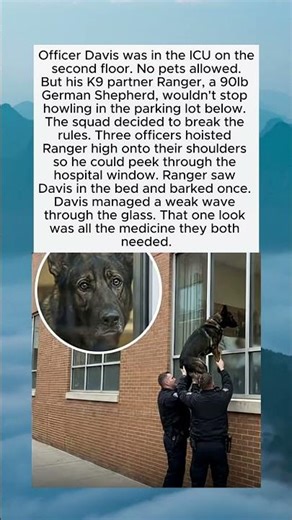 He Saw His Partner… Then This Happened