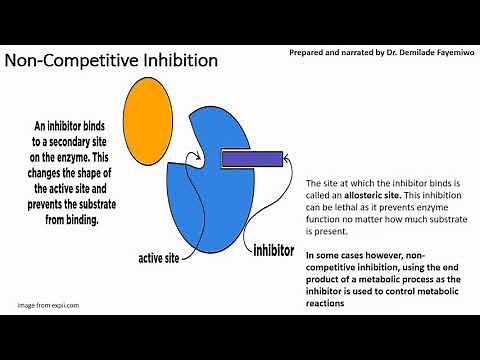Chapter 3.3: Enzyme inhibition - Competitive and Non-Competitive Inhibition