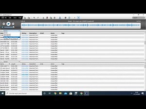 Jam Manager XT tutorial. Jamman stereo looper.