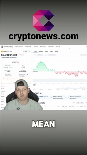 Bonk Coin: Is This The End? Market Cap Analysis #shorts