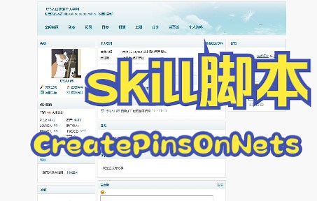 给金属线打pin和label的skill脚本CreatePinsOnNets