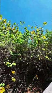Beach Time. Marco Island Spring Break #beach