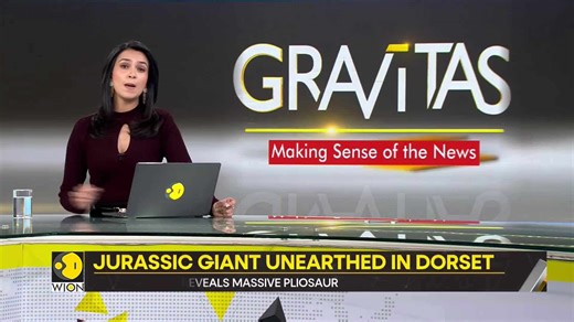 Gravitas: Pristine Pliosaur fossil uncovered in Dorset cliffs