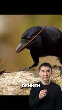 THESE BIRDS ARE SMARTER THAN SOME HUMANS!