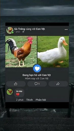 huhu 😭😭 #meme #tiktok #funny