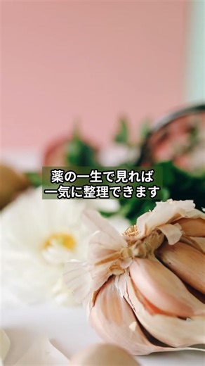 薬は「売ったら終わり」じゃない！GLP・GCP・GVP・GPSPの勘違い #登録販売者 #登録販売者試験 #1分知識