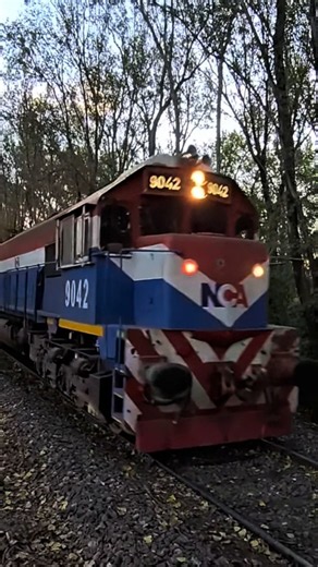Tren de #nuevocentralargentino en Las Perdices