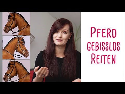 Dein Pferd auf gebissloses Reiten umstellen - So geht's!