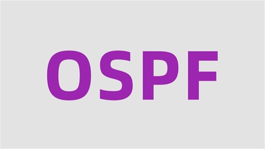 花费1小时一口气学完！带你掌握OSPF所有核心知识点，全程干货，无废话！