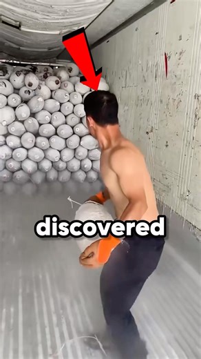 The Smartest Shortcut Ever