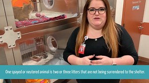 13K views · 162 reactions | We asked some of our current shelter...