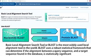 3.01-Basic Local Alignment Search Tool-Nucleotide BLAST (BLASTn)
