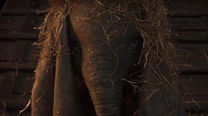 [MEGA!VER] Dumbo pelicula|completa-subtitulada español
