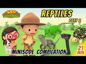 Reptiles Minisode Compilation (Part 2/2) - Leo The Wildlife Ranger | Animation | For Kids