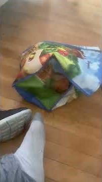 The Little Ruby 2: Return to the Sea part 23 - End Credits