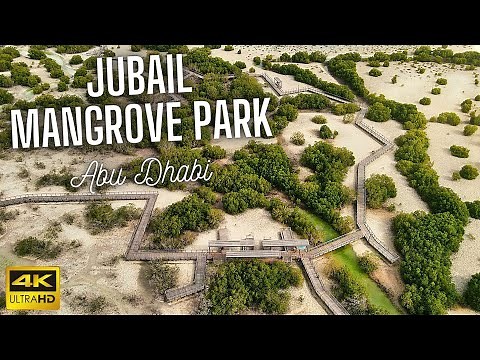 Jubail Mangrove Park | Full Walking & Drone Tour | Al Jubail Island, Abu Dhabi | 4K