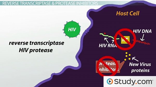 Treatment Methodologies for HIV
