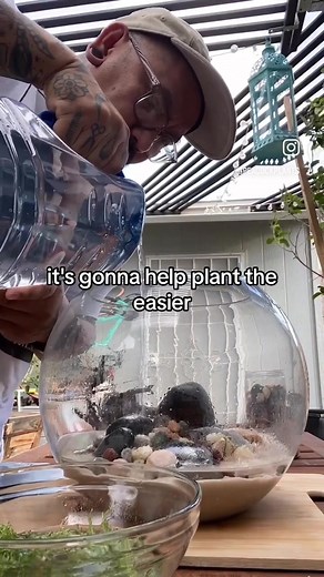 Planted Betta Bowl Setup Tutorial