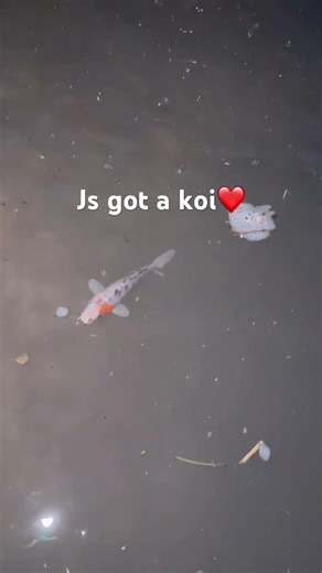 Built a pond over spring break!!!