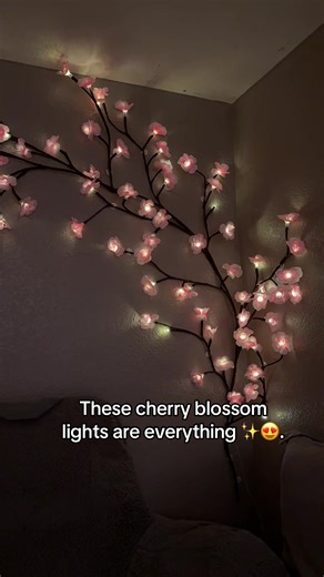 Cherry Blossom Lights: Perfect Valentine's Day Gift