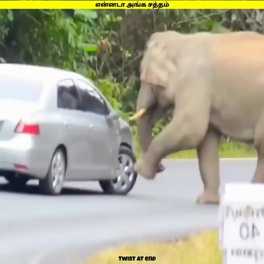 1.3M views · 10K reactions | adeii dayy  | Tamil Sago Gamers | Facebook