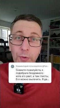 My cat is vomiting with worms. When should I treat him for fleas?