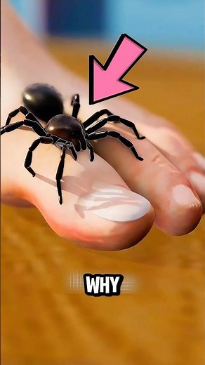 What Really Happens When a Spider Bites You⁉️🕷️